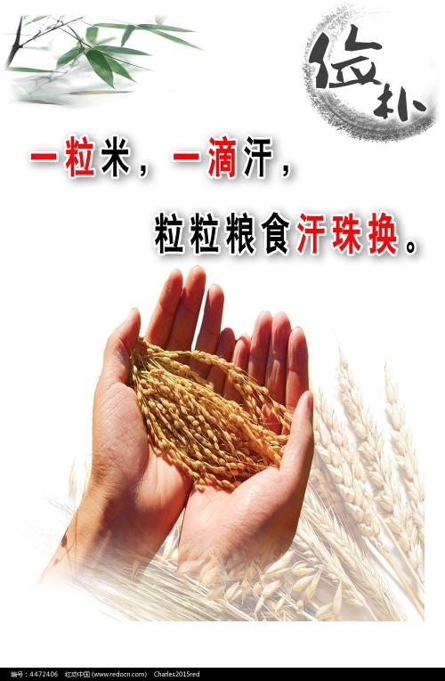 山口大学文凭